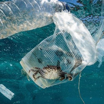 Χώματος και νερού Ul εξεταστική εργαστηρίων υπηρεσία επικύρωσης τρίτου αρχής μόλυνσης εκπαίδευσης βιολογική