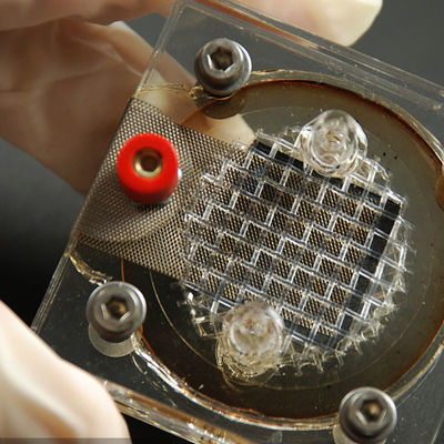 Εξεταστικές υπηρεσίες δοκιμής και επικύρωσης τρίτου επιχειρήσεων EMC LPS SELV εργαστηρίων ηλεκτρονικής εξοπλισμού ανακλαστήρων