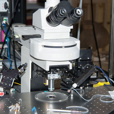 Υπηρεσία επικύρωσης τρίτου εργαστηριακών ηλεκτρική οδοντοβουρτσών δοκιμής CE Mark Intertek