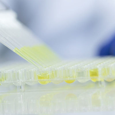 Τροφίμων γυαλιού εξεταστική εργαστηρίων υπηρεσία επικύρωσης εργαστηριακού τρίτου υπηρεσιών αναγνωρισμένη FDA